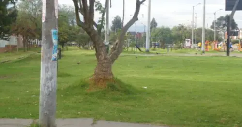 PARQUE TORREMOLINOS CARRERA 51B PARQUE TORREMOLINOS CARRERA 51B